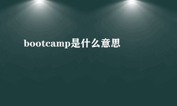 bootcamp是什么意思