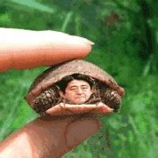 安倍与文在寅会谈遭遇“下马威”，回到日本将如何交差？