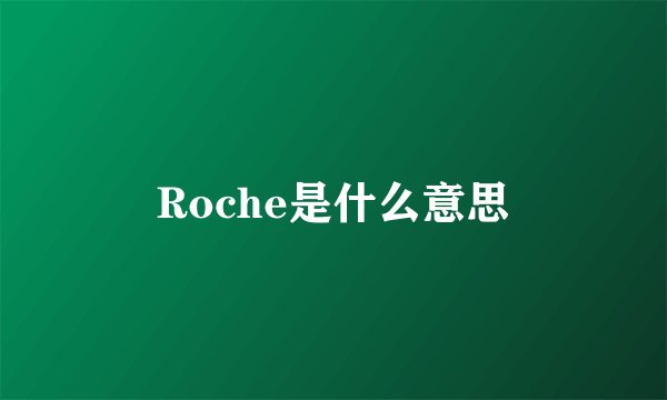 Roche是什么意思