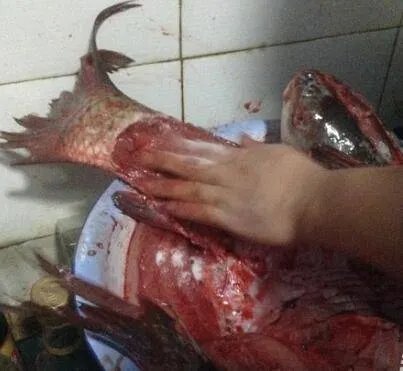 腊鱼怎么做