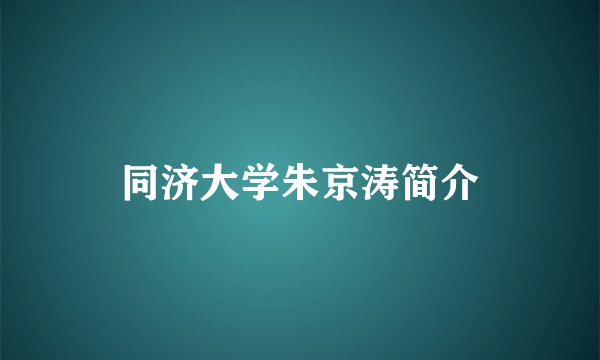 同济大学朱京涛简介