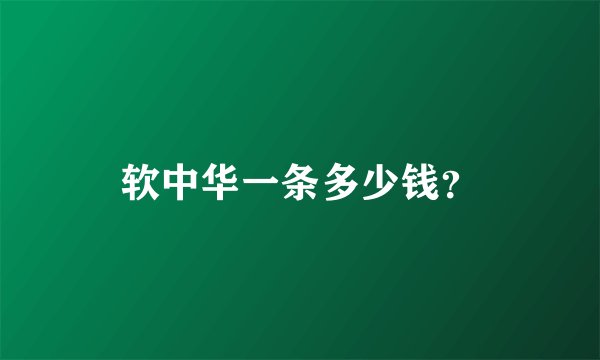 软中华一条多少钱？
