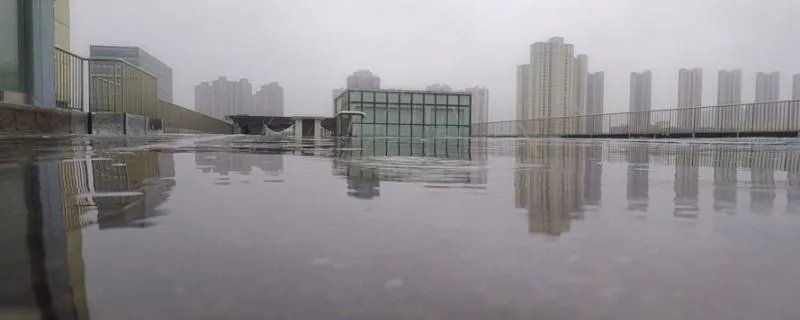 梦见湿地是什么意思 梦见湿地意味着什么 