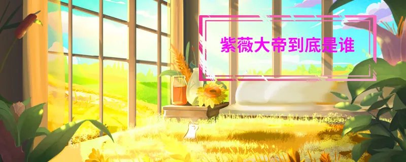 紫薇大帝到底是谁