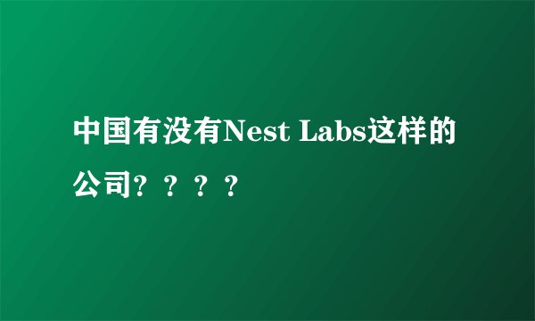 中国有没有Nest Labs这样的公司？？？？