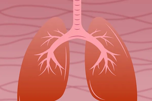 白茅根的功效是什么