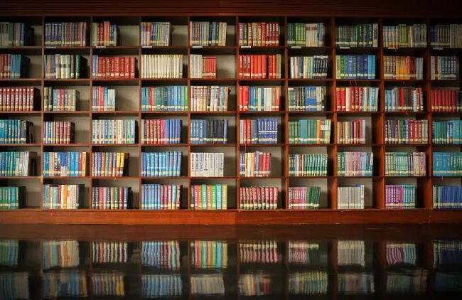 读书的好处优美句子 赞美读书有益的句子