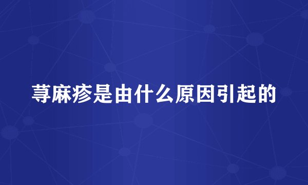 荨麻疹是由什么原因引起的