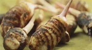 泰州有哪些特产呢?