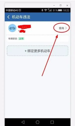 123123违章车辆查询