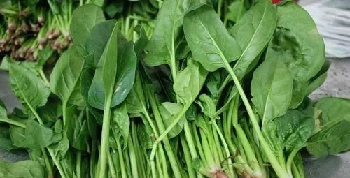 春分适合吃什么食物？