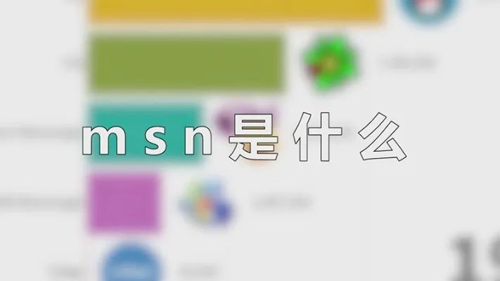 msn是什么