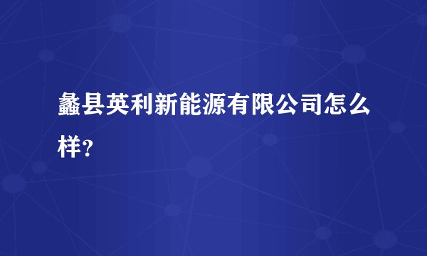 蠡县英利新能源有限公司怎么样？