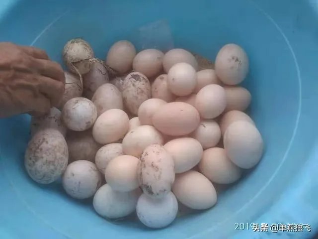 新冠疫情结束后，你最想做的事情是什么？