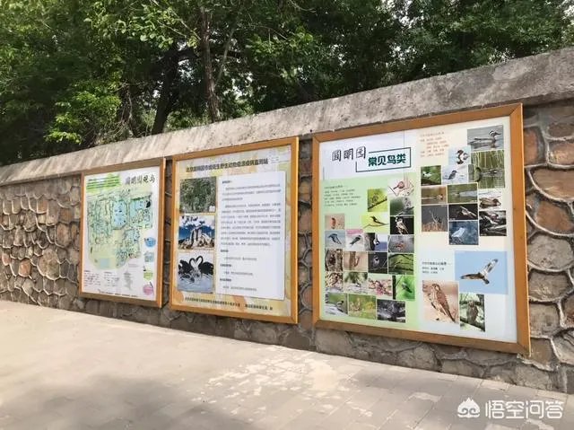 圆明园的最佳游览路线是什么？