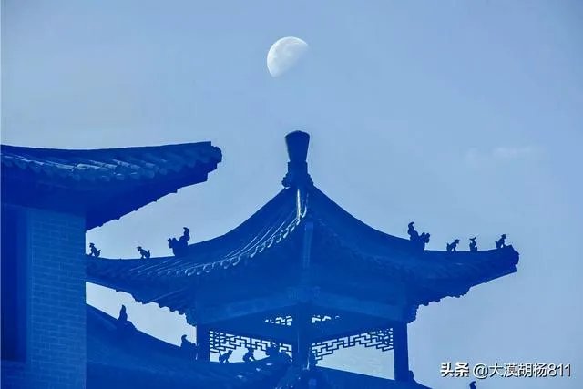 家用数码相机什么牌子好？