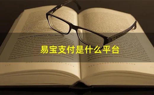 易宝支付是什么平台