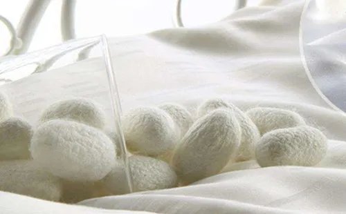 蚕丝被怎么看真假  蚕丝多少钱一斤2017