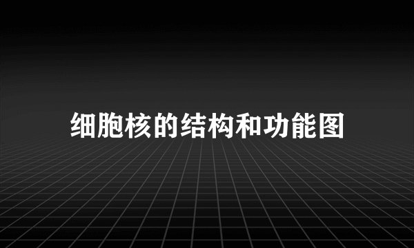 细胞核的结构和功能图