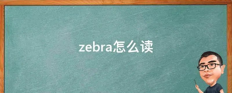 zebra怎么读