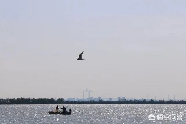 包头这个城市美不美？