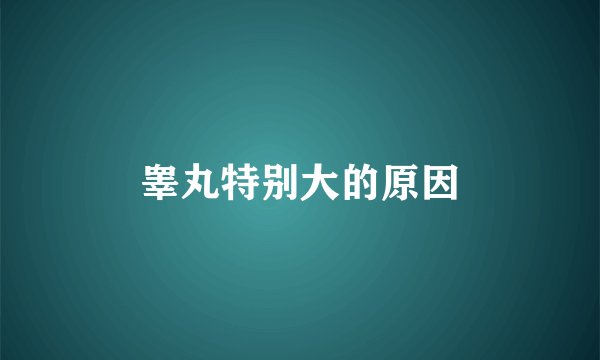 睾丸特别大的原因