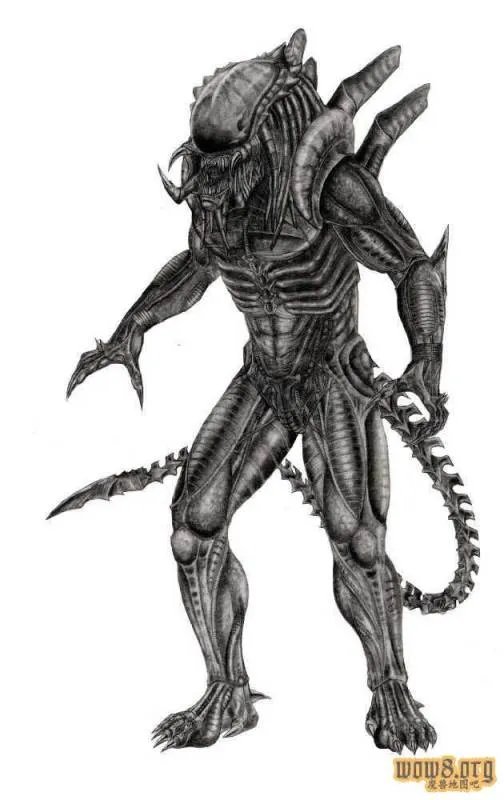 异形大战铁血战士3最后从铁血战士肚子里出来的是什么