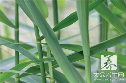 白藜芦醇功效有哪些呢？