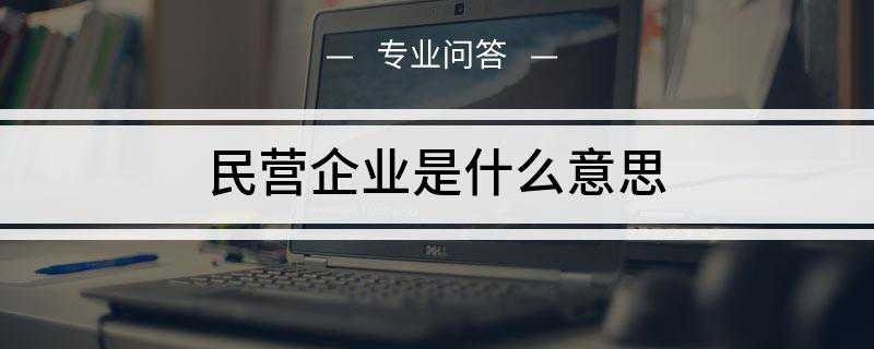 民营企业是什么意思