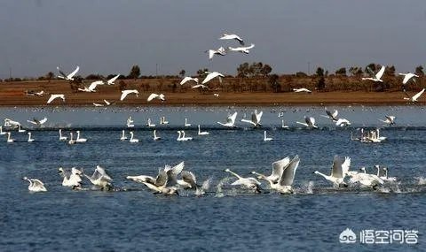 张家口市沽源县有哪些好玩的地方值得推荐？