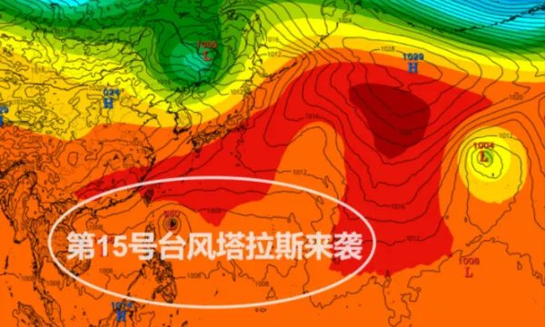 今年第15号台风塔拉斯已经生成了，此次台风的特征是什么？
