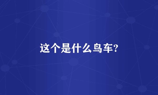 这个是什么鸟车?
