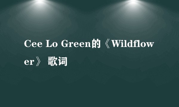 Cee Lo Green的《Wildflower》 歌词