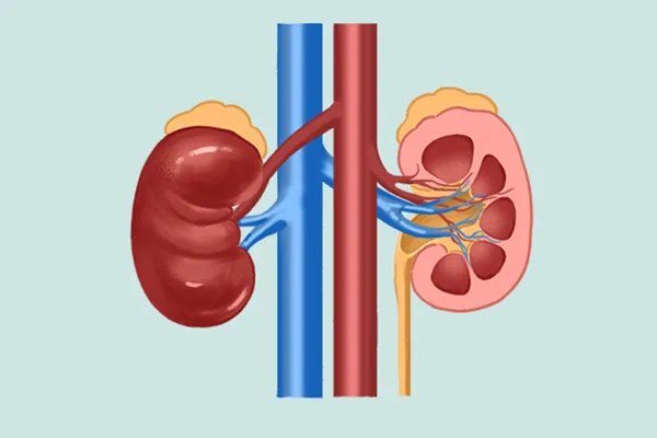 肾衰竭的早期症状表现