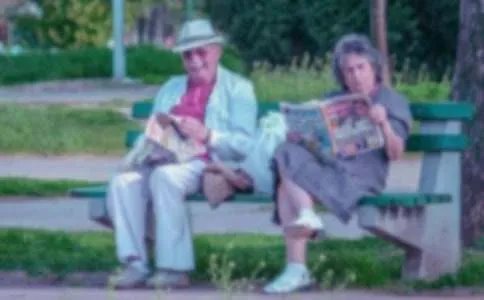 闲不住的奶奶作文800字六年级