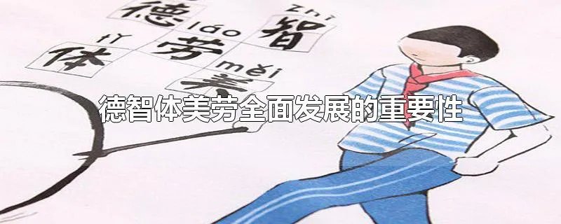 德智体美劳全面发展的重要性
