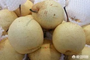 邯郸市有什么特产？