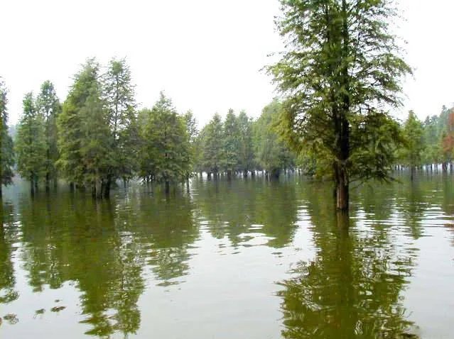 神泉胜迹的简介