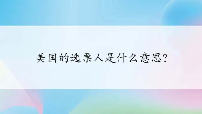 美国的选票人是什么意思？