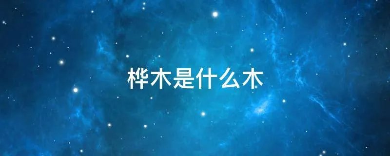 桦木是什么木