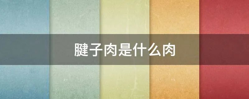 腱子肉是什么肉