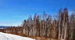 大兴安岭气温下降到0度以下，附近居民是否会受影响？