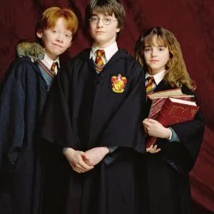 翻车鱼兽的技能