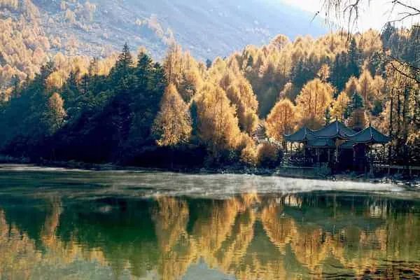 岁月是把杀猪刀 什么意思？