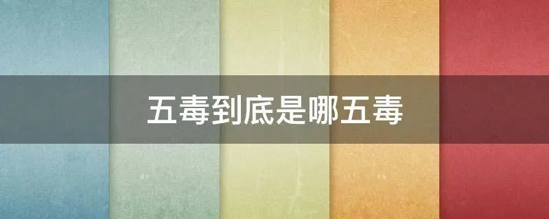 五毒到底是哪五毒