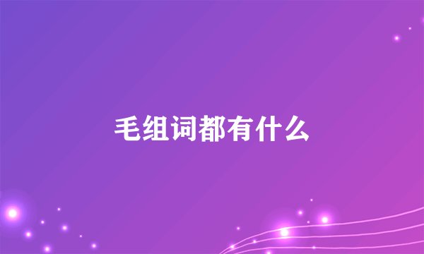 毛组词都有什么