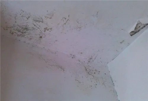 房屋漏水渗水维修方法有哪些