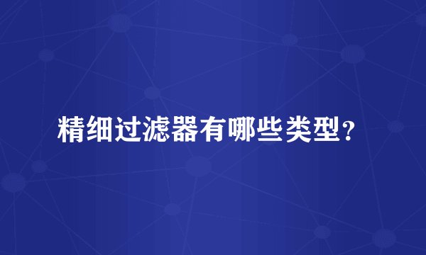 精细过滤器有哪些类型？