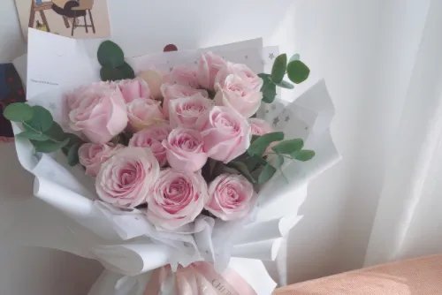 19朵粉色玫瑰花代表什么意思 第一次送女孩花应该送几朵