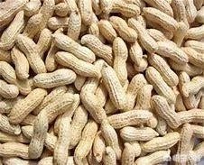 泰州有哪些特产呢?